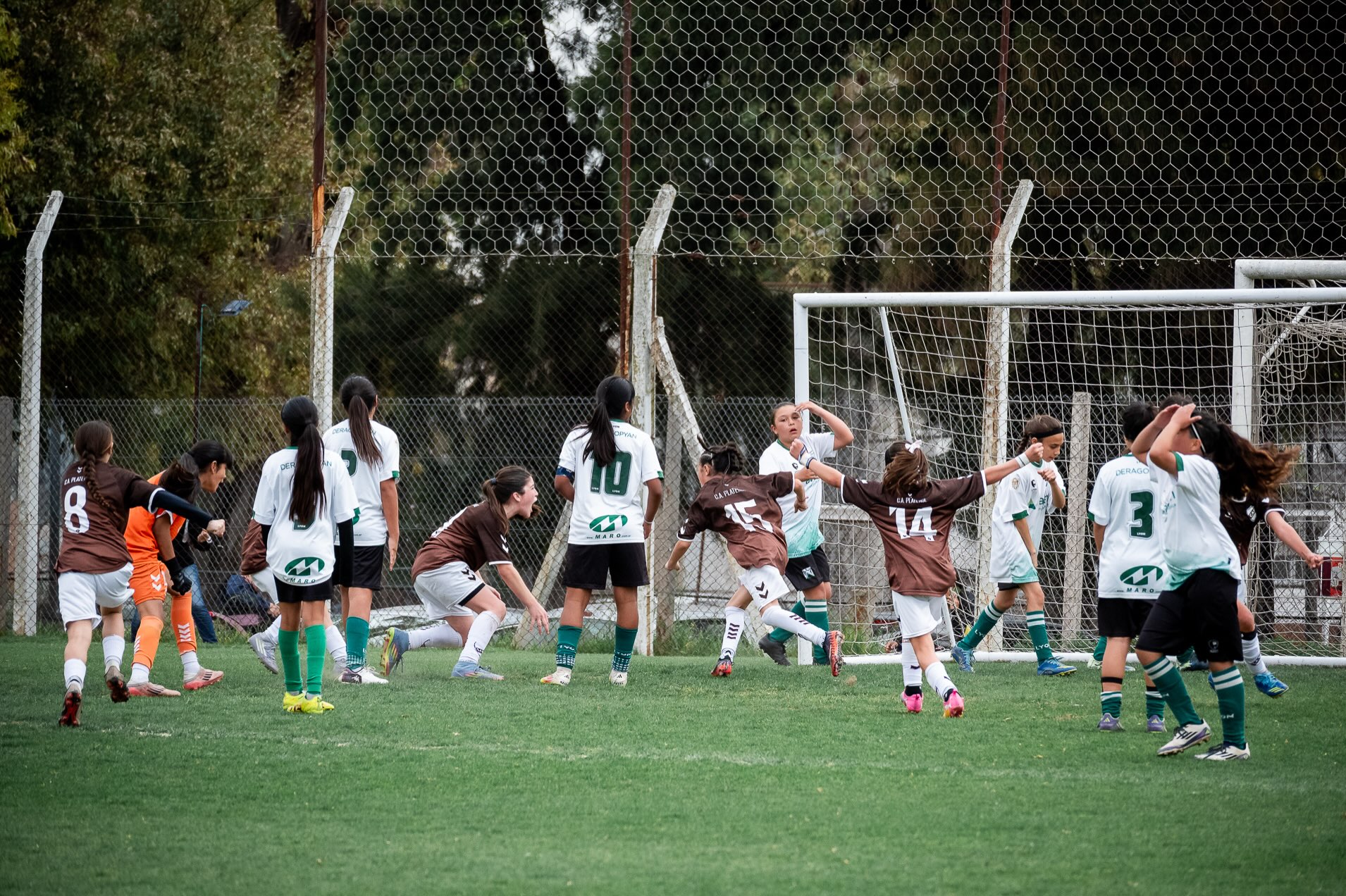 Torneo Sub 12: resultados de la fecha 9 y cómo se juega la fecha 10