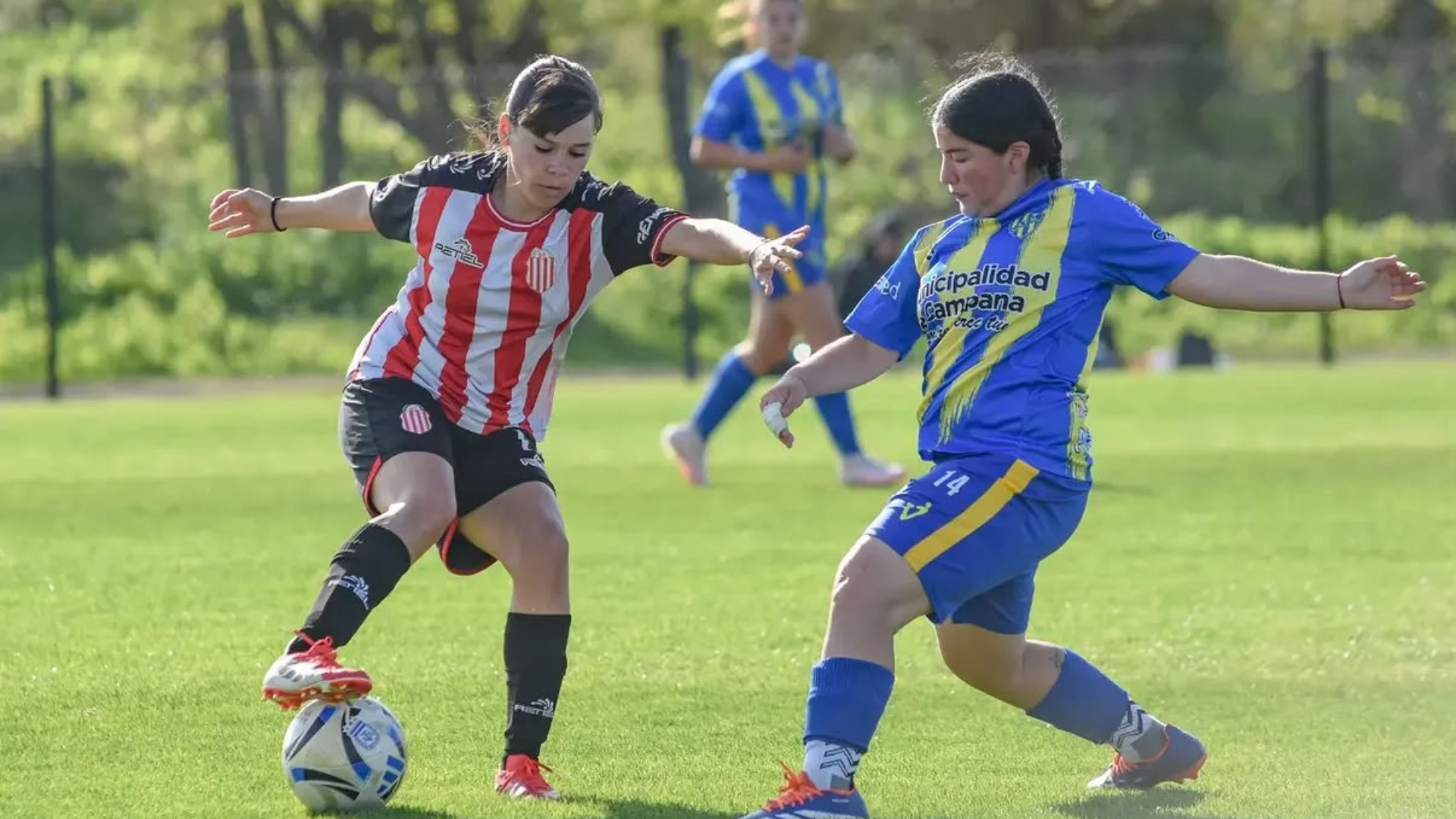 Primera C Femenina 2026: los partidos reprogramados de la fecha 19