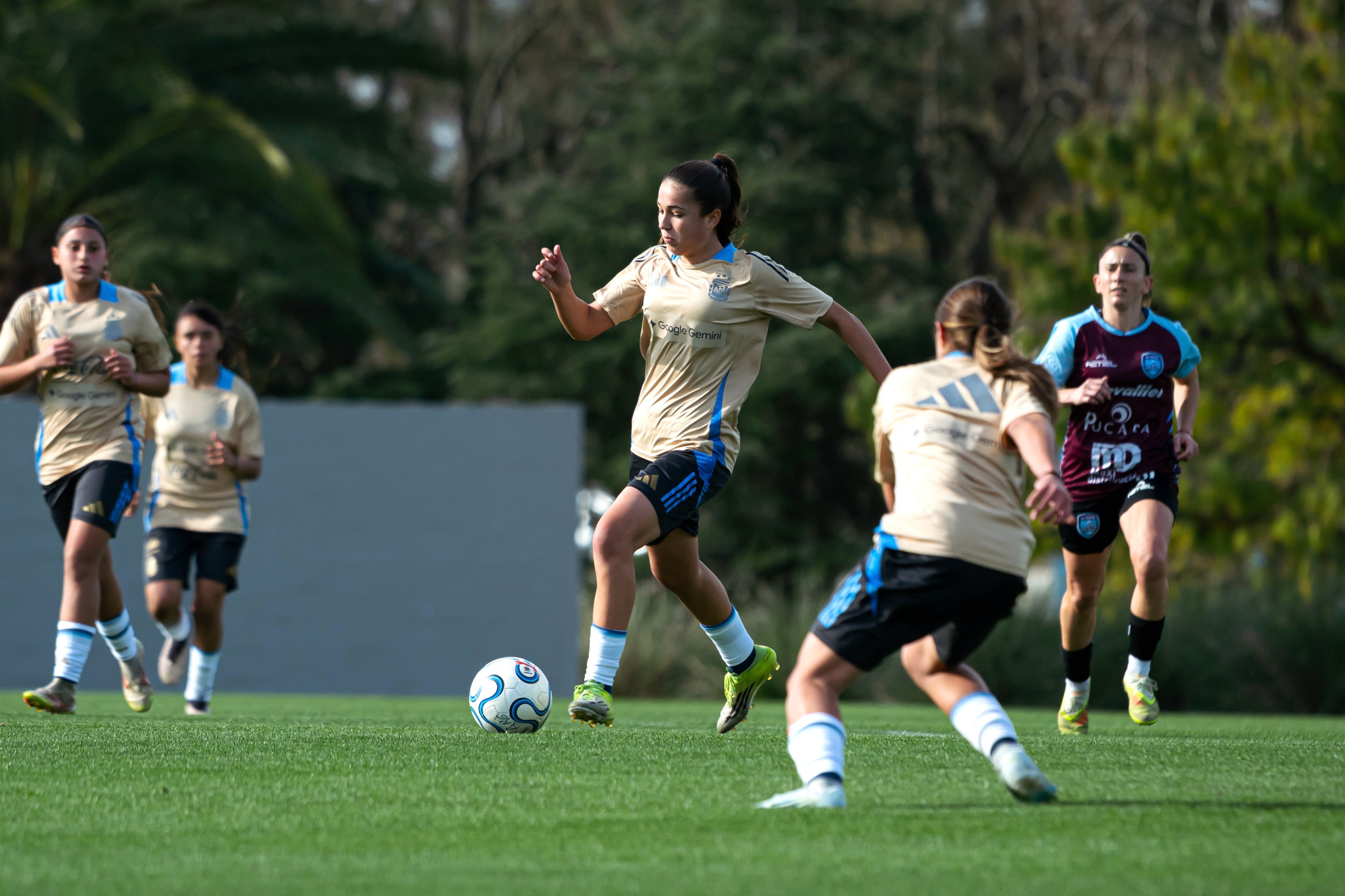 La Selección Sub 15 jugará la Liga Evolución CONMEBOL: cómo ver