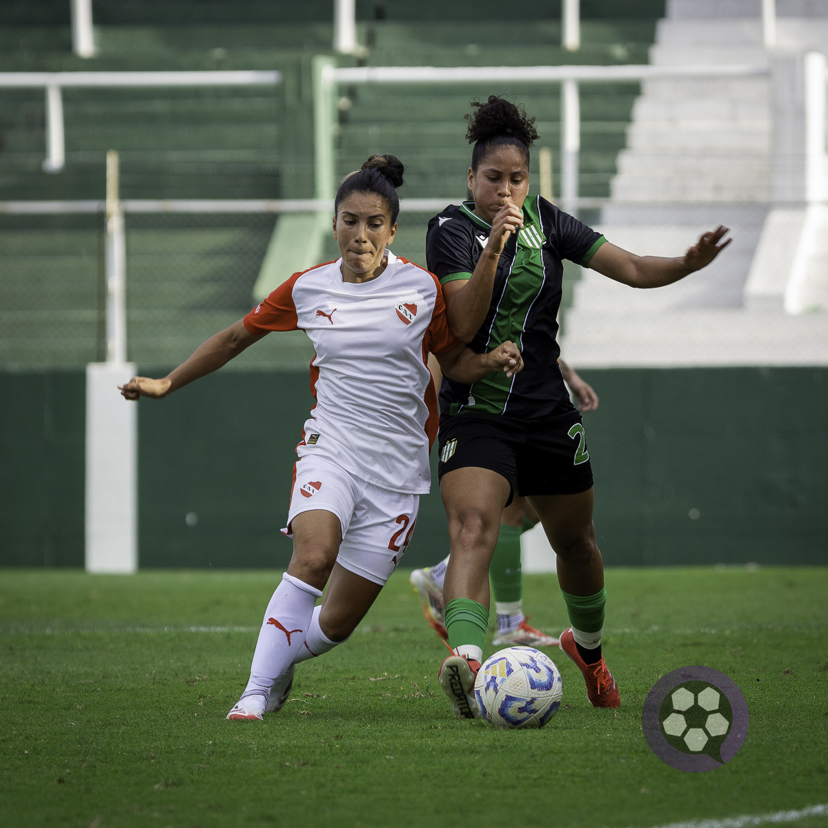 BANFIELD VS INDEPENDIENTE - FECHA 1 PRIMER TORNEO 2026 - 14/3/2026 - Foto 5